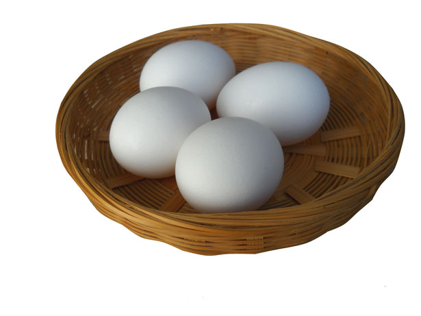 Four chicken eggs in a basket