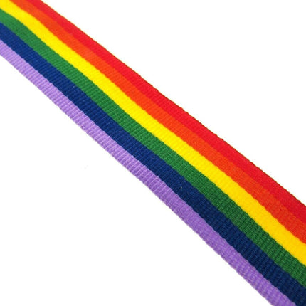 Rainbow Ribbon for Gay Pride Celebrations & Festivals 15mm LGBTQ - ThreadandTrimmings